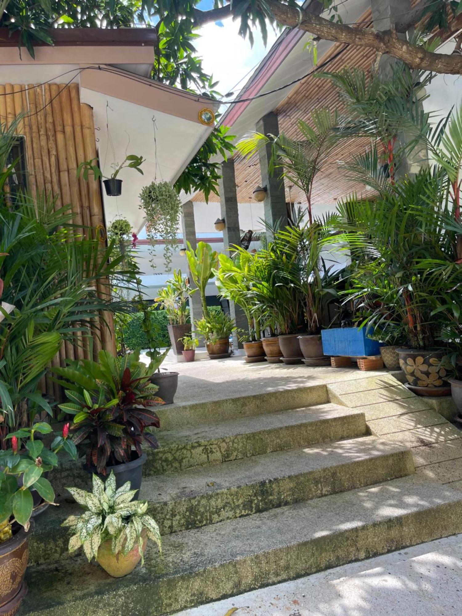 Lotus Bleu & Restaurant Tempat peranginan